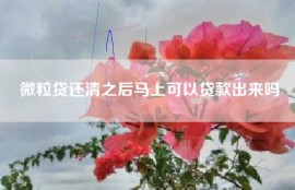 微粒贷还清之后马上可以贷款出来吗