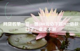 网贷名单一览，借1000元必下款2022借款口子，拿走不谢