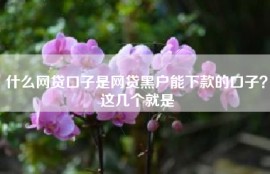 什么网贷口子是网贷黑户能下款的口子？这几个就是