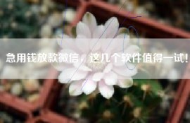 急用钱放款微信，这几个软件值得一试！