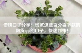 借钱口子分享：试试这些百分百下款的网贷app的口子，快速到账！