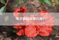 车子保险买哪几种？