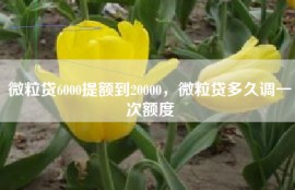 微粒贷6000提额到20000，微粒贷多久调一次额度