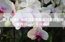 精选整理！小额贷款哪里最可靠直接到账网贷app，不容错过