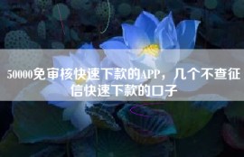 50000免审核快速下款的APP，几个不查征信快速下款的口子