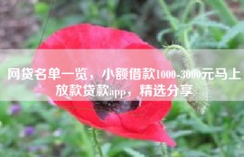 网贷名单一览，小额借款1000-3000元马上放款贷款app，精选分享