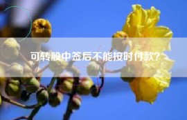 可转股中签后不能按时付款？