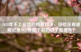 2022年不上征信的网贷口子，征信花有逾期记录2022年能下款的口子有哪些？