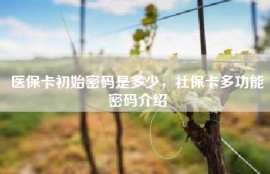 医保卡初始密码是多少，社保卡多功能密码介绍
