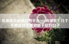 负债高也能通过的平台2022有哪些？几个不查征信负债就能下款的口子