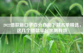 2022借款新口子百分百能下款名单精选，这几个借款平台亲测有效