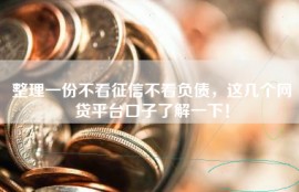 整理一份不看征信不看负债，这几个网贷平台口子了解一下！