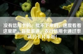 没有信用卡的，批不下来的，速度看看这里吧，盲批渠道，农行信用卡通过率高的卡片来啦！