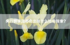央行数字货币会出现什么社会现象？