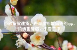 小额贷款速贷，严重逾期能借钱的app，负债也能借，不看工作