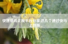 快速借钱正规平台分享,这几个通过快马上到账