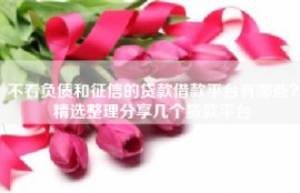 不看负债和征信的贷款借款平台有哪些？精选整理分享几个贷款平台