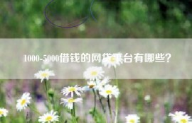 1000-5000借钱的网贷平台有哪些？