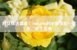 网贷精选盘点：1000-5000的小额贷款一览表，必下名单