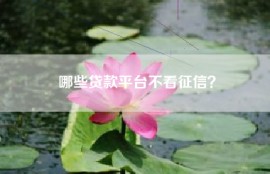 哪些贷款平台不看征信？
