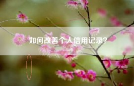 如何改善个人信用记录？