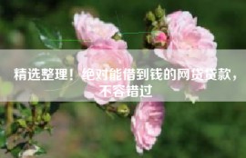 精选整理！绝对能借到钱的网贷贷款，不容错过