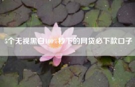 5个无视黑白100%秒下的网贷必下款口子