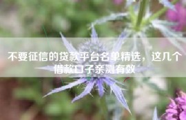 不要征信的贷款平台名单精选，这几个借款口子亲测有效