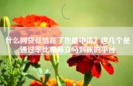 什么网贷征信花了也能申请？这几个是通过率比较高立马到账的平台
