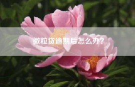 微粒贷逾期后怎么办？