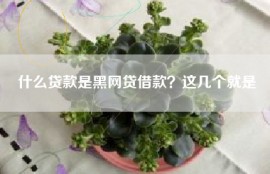 什么贷款是黑网贷借款？这几个就是