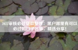 2022审核必过贷款整理：黑户哪里有可以必过的口子名单，精选分享！