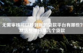 无需审核可以秒到账的贷款平台有哪些？精选整理分享几个贷款