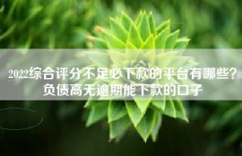 2022综合评分不足必下款的平台有哪些？负债高无逾期能下款的口子