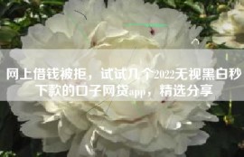 网上借钱被拒，试试几个2022无视黑白秒下款的口子网贷app，精选分享