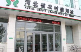 农村信用社怎么贷5万？需要满足这些条件
