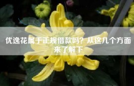优逸花属于正规借款吗？从这几个方面来了解下