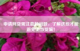 申请网贷需注意的问题，了解这些才能避免上当受骗！