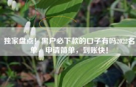 独家盘点！黑户必下款的口子有吗2022名单，申请简单，到账快！