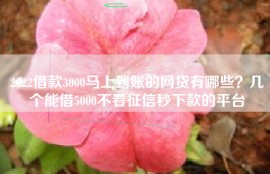 2022借款3000马上到账的网贷有哪些？几个能借5000不看征信秒下款的平台