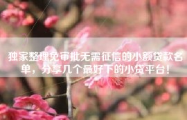 独家整理免审批无需征信的小额贷款名单，分享几个最好下的小贷平台！