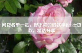 网贷名单一览，好下款的借款平台2022贷款，精选分享