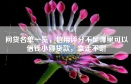 网贷名单一览，信用评分不足哪里可以借钱小额贷款，拿走不谢