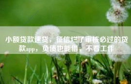 小额贷款速贷，征信烂了审核必过的贷款app，负债也能借，不看工作