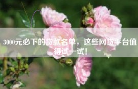 3000元必下的贷款名单，这些网贷平台值得试一试！