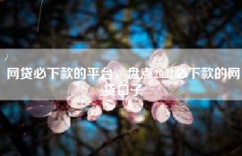 网贷必下款的平台，盘点2022必下款的网贷口子