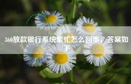 360放款银行系统繁忙怎么回事，答案如下