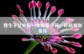 独生子女补贴一年有多少钱，补贴领取条件