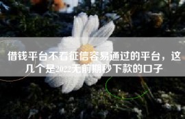借钱平台不看征信容易通过的平台，这几个是2022无前期秒下款的口子