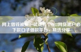 网上借钱被拒，试试几个2022网贷黑户必下款口子借款平台，精选分享